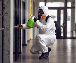 Best Forensic Mold Investigation  in Thruston, KY